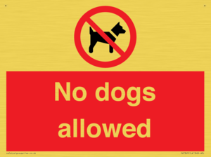 No dogs allowed
